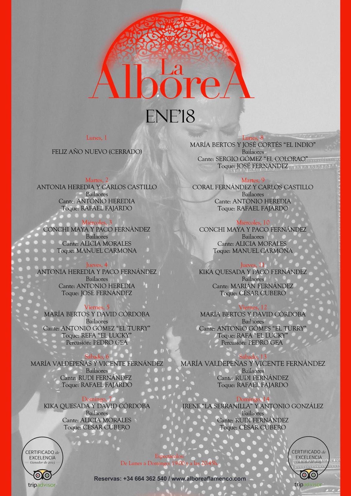 Flamenco en Granada Enero 2018 - Programación artistas
