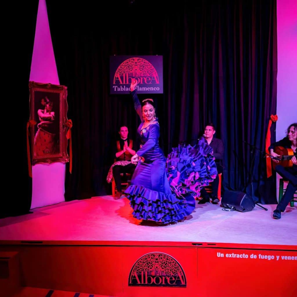 Espectáculo de baile y cante flamenco en Granada