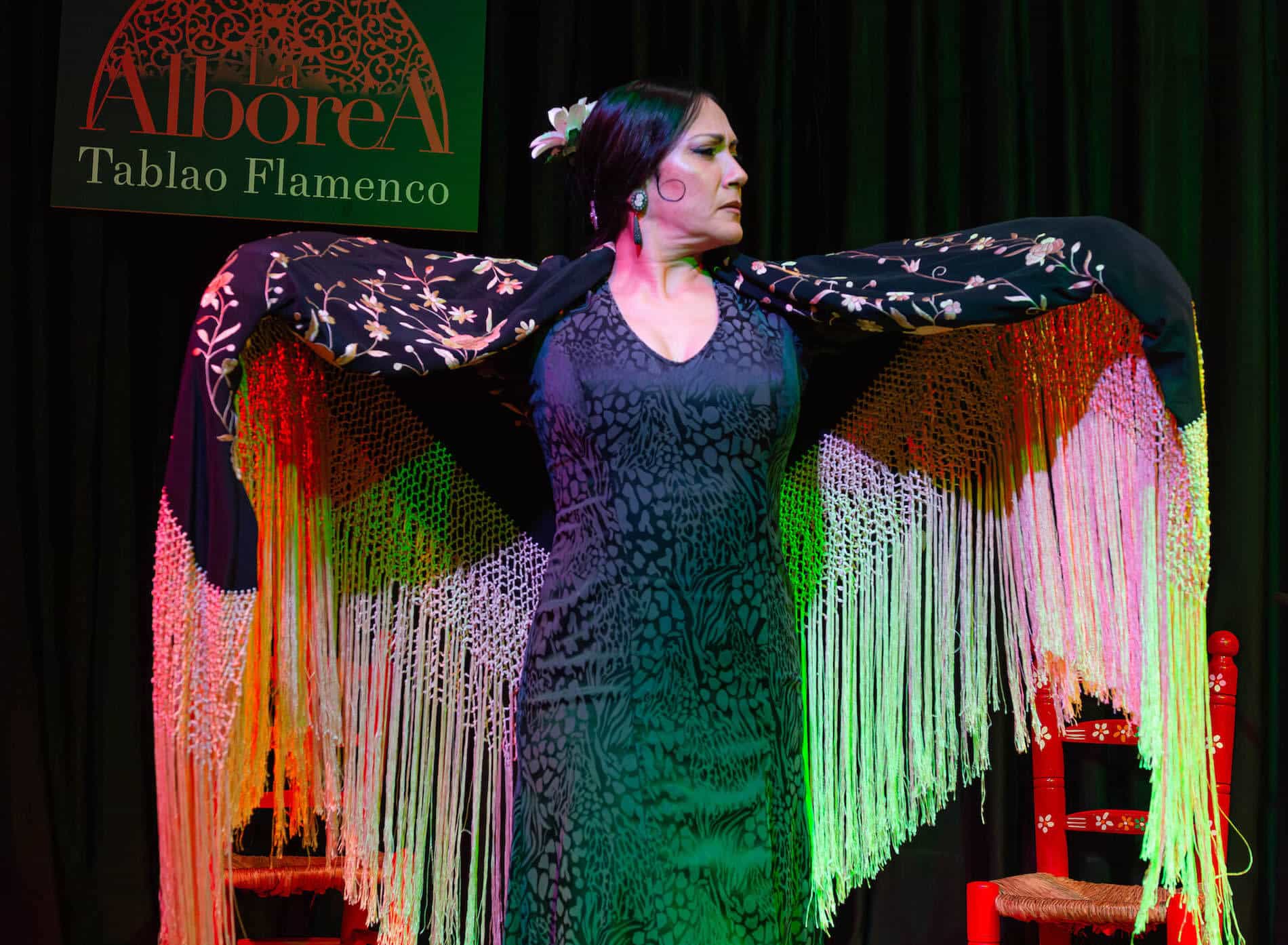 Ropa y accesorios típicos del flamenco