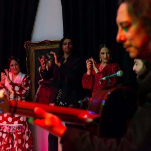 ¿Qué es un cuadro flamenco?